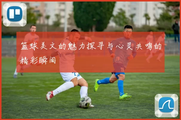 篮球美文的魅力探寻与心灵共鸣的精彩瞬间