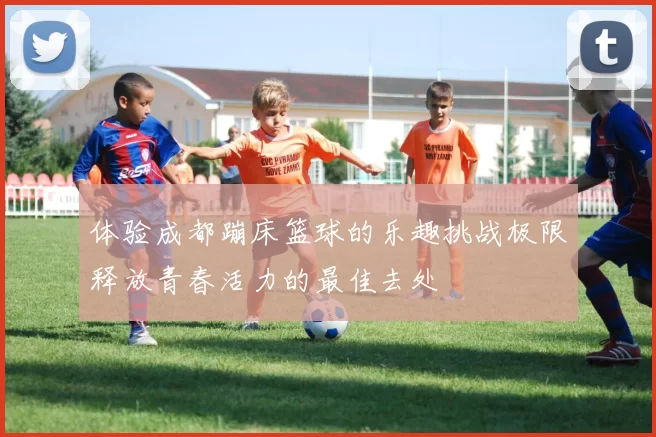 体验成都蹦床篮球的乐趣挑战极限释放青春活力的最佳去处