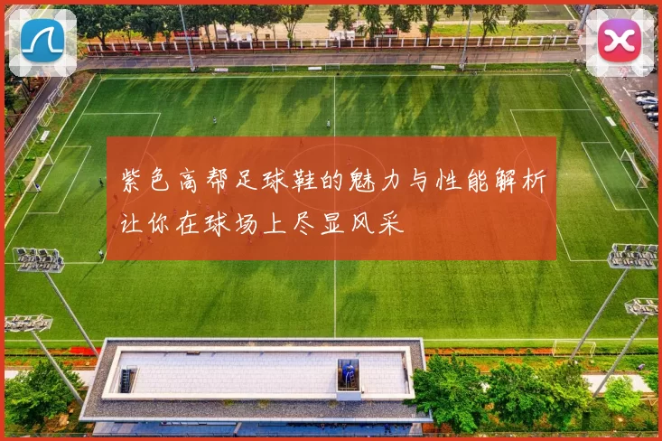 紫色高帮足球鞋的魅力与性能解析让你在球场上尽显风采