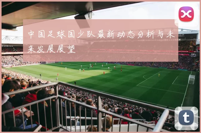 中国足球国少队最新动态分析与未来发展展望